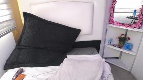 Snapshot of palmer_mix chatting on January 8, 6:20 pm Palmer online show from January 8, 6:20 pm