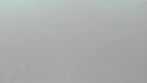  P A M  online show from February 1, 4:11 am