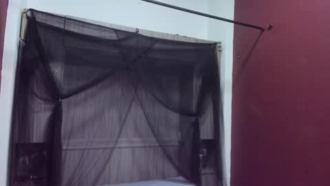  P A M  online show from February 22, 4:02 am