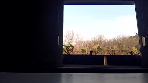 angel hris online show from April 3, 3:43 pm