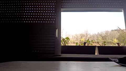 angel hris online show from April 14, 3:18 pm