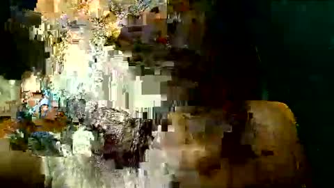 PAOLLA 23CM online show from March 24, 5:18 pm