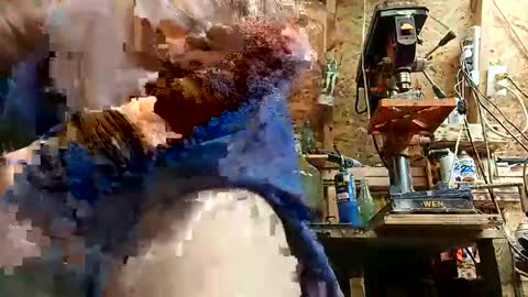 Snapshot of papajb70 chatting on September 10, 2:22 am papajb70 online show from September 10, 2:22 am