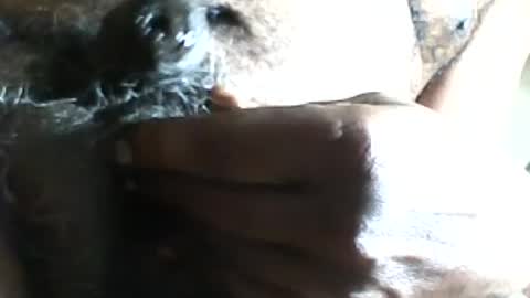 pappi_rambo online show from July 17, 1:29 pm