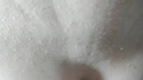 Snapshot of parejacachonda chatting on December 7, 6:04 pm sara and andreu online show from December 7, 6:04 pm