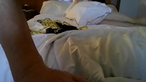 Snapshot of partyplaynfuc chatting on March 13, 9:49 am partyplaynfuc online show from March 13, 9:49 am