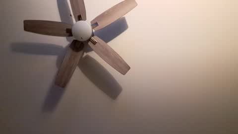 Snapshot of patrick247288 chatting on September 9, 4:34 am patrick247288 online show from September 9, 4:34 am