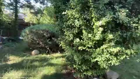 Andreea online show from July 7, 5:43 am
