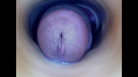 Paula 18 Aninhos online show from March 24, 5:18 pm