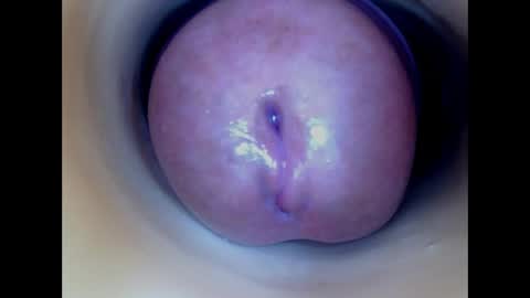 Paula 18 Aninhos online show from April 5, 2:25 pm