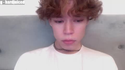 pawclaw online show from April 7, 12:22 am