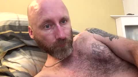 pc2334 online show from November 16, 11:49 am