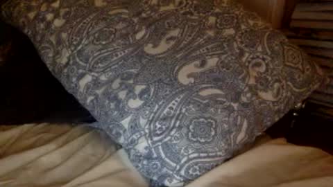 Snapshot of pea23 chatting on February 27, 11:38 pm pea23 online show from February 27, 11:38 pm