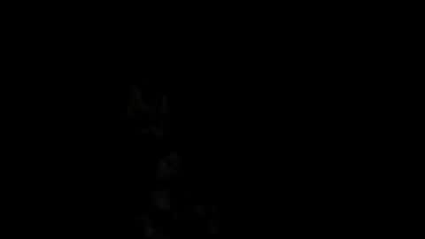 Snapshot of pedritu7 chatting on February 18, 1:00 pm Alex online show from February 18, 1:00 pm