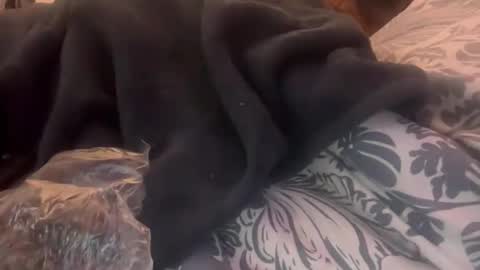 penutbutter691 online show from February 23, 11:29 am