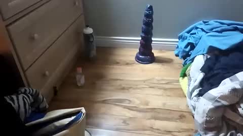 Snapshot of perdz768563 chatting on March 22, 11:30 pm perdz768563 online show from March 22, 11:30 pm