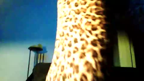 permageil_nackt_alt online show from February 26, 6:51 pm