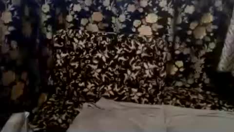 cute vir online show from July 13, 7:22 am