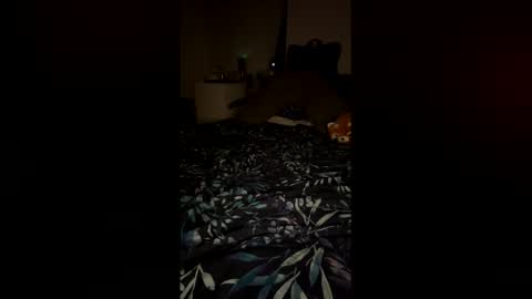 PetiteCurves online show from February 12, 11:33 pm