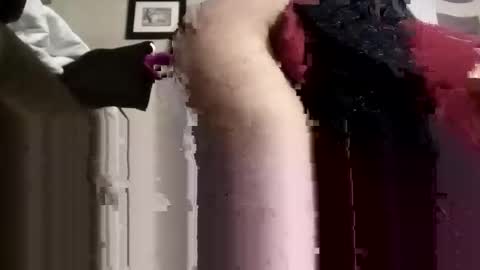 phillipdee online show from November 13, 8:30 pm