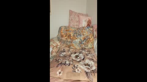 philos1979 online show from February 6, 6:55 pm