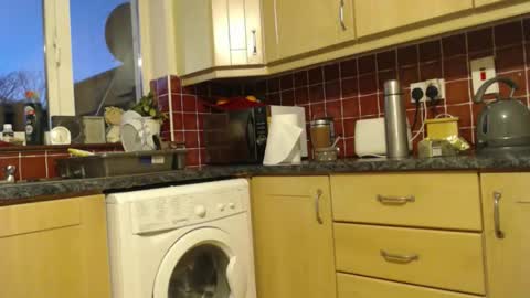 piercedcock069 online show from January 13, 5:29 pm