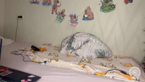 Snapshot of pink_pikachu_ chatting on February 19, 10:06 pm Pikachu pika online show from February 19, 10:06 pm