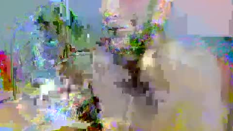 Snapshot of pipe_sexxx chatting on October 14, 2:34 am pipe_sexxx online show from October 14, 2:34 am