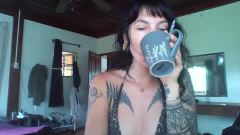 pixiecatfairy online show from November 13, 2:21 am