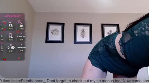 Snapshot of plantbabeee chatting on December 2, 7:16 pm Plantbabeee online show from December 2, 7:16 pm