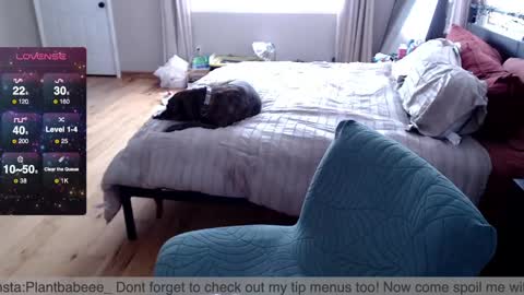 Snapshot of plantbabeee chatting on February 26, 6:00 pm Plantbabeee online show from February 26, 6:00 pm