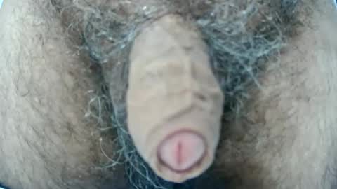 Snapshot of play1891 chatting on November 4, 9:25 pm play1891 online show from November 4, 9:25 pm