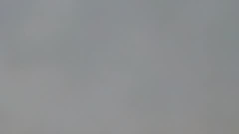 Snapshot of playboypetit chatting on January 15, 9:41 pm playboypetit online show from January 15, 9:41 pm