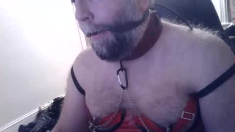 pleasurepuppt online show from January 22, 2:48 am