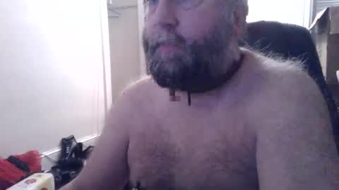 pleasurepuppt online show from February 6, 3:48 am