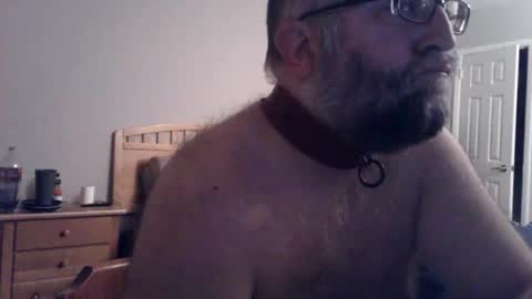 pleasurepuppt online show from October 23, 12:54 am