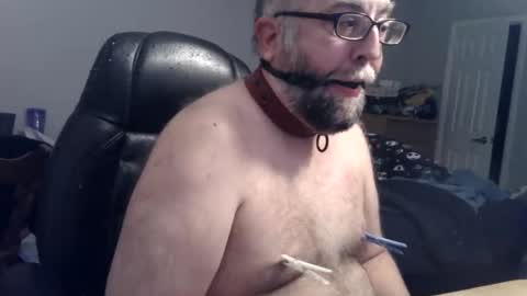 pleasurepuppt online show from November 12, 2:45 am
