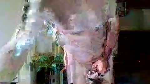 pluchet online show from May 7, 4:56 pm