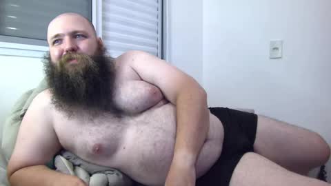 Bear online show from January 21, 6:22 am