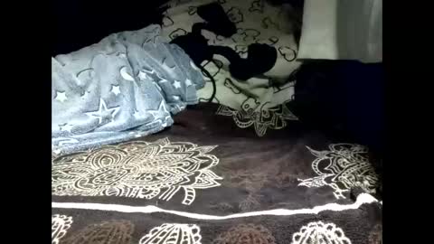 pollachico online show from February 18, 8:32 am