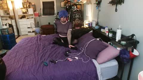 PolyCircus online show from November 23, 5:40 am