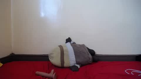 Snapshot of popetykely00 chatting on February 18, 8:38 am popetykely00 online show from February 18, 8:38 am