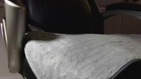 poppyntx online show from February 20, 3:36 am