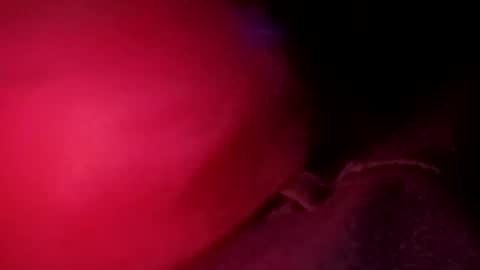 porkchop696974 online show from February 20, 6:59 am