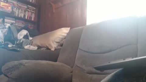 Snapshot of porkingit400 chatting on February 14, 5:14 pm porkingit400 online show from February 14, 5:14 pm