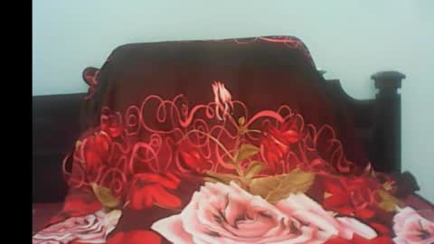 Snapshot of pornojedigoa chatting on January 4, 4:44 am Koko Lar online show from January 4, 4:44 am