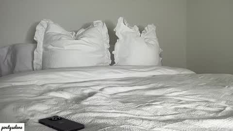 Selena online show from January 27, 12:33 am