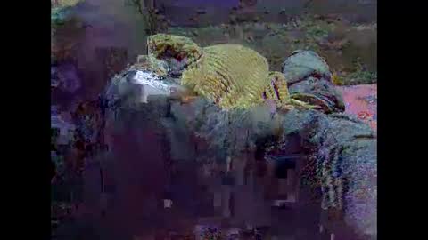 Snapshot of precious_nesh chatting on May 21, 7:15 am precious_nesh online show from May 21, 7:15 am