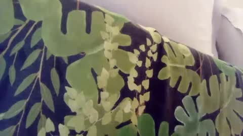 Snapshot of pretty_boy_jack chatting on January 8, 1:00 am pretty_boy_jack online show from January 8, 1:00 am