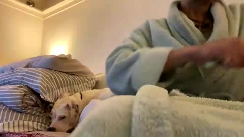 Snapshot of pretty_boy_jack chatting on February 3, 2:47 am pretty_boy_jack online show from February 3, 2:47 am